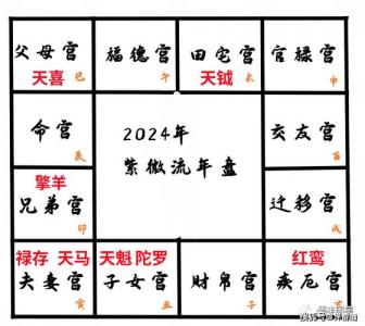 紫微命盘详解2024事业运势 紫微斗数怎么看事业财运