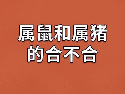 属鼠和属猪吵架合不合财 父亲属猪儿子属鼠合不合是什么意思?