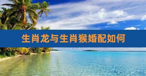 女属猴和男属龙结婚吗 属龙和猴的今年能离婚吗是什么意思?