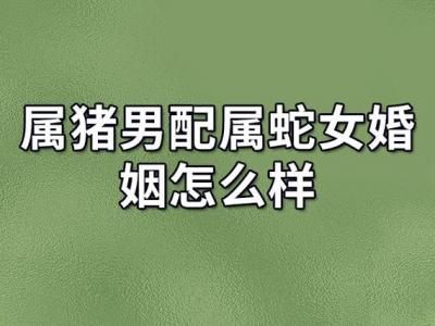 属猪女属蛇男的婚姻 母亲属猪儿子属蛇怎么化解是什么意思?