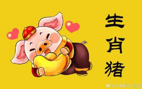 2025属猪的小人 2025属猪运气是什么意思?