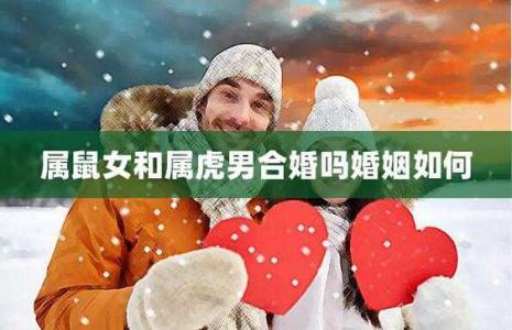 属鼠女和属虎男婚姻犯相吗 鼠和虎哪个厉害是什么意思?