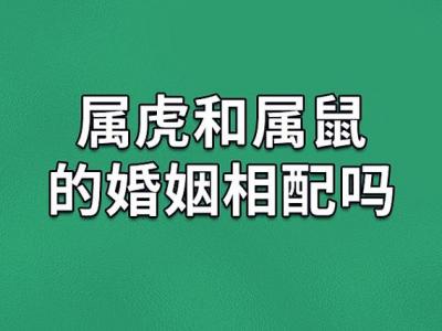 男属虎与属鼠相冲吗婚姻 属鼠女和属虎男相冲吗是什么意思?