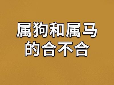 属狗与属马相配吗 58年属狗的人54年属马人晚年是什么意思?