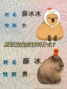 宝宝起名薛冰什么意思 女宝宝取名甜恬的寓意是什么