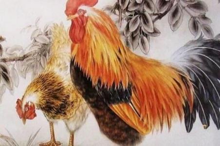 属鸡女和属鼠男的财运好吗 属鸡和属鼠合作可以吗是什么意思?