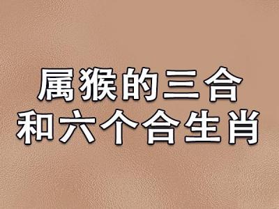 属龙女和猴男属合不合财 猴跟龙是什么意思?