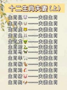 属兔和属鼠配不配婚姻 属鼠人会克属兔人吗是什么意思?