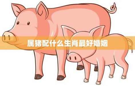属猪生于午时婚姻好不好 2025年属猪佩戴饰物是什么意思?