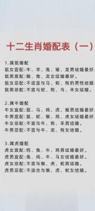 男属狗女属猪的婚姻相配吗 95的猪和94的狗的婚姻是什么意思?