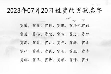 姓贾免费起名字大全男宝宝 姓贾的霸气名字