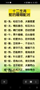 属龙哪几个属相不配 属龙的二婚适合哪些属相是什么意思?