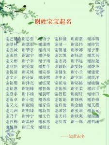 谢氏男宝宝起名 谢氏取名男孩四个字