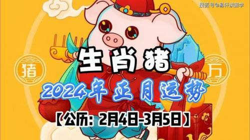 正版李居明2024生肖运程猪 李居明2025生肖运程猪是什么意思?