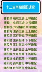 属猪的和属猪的配对指数 老公属猪老婆属猪好吗是什么意思?