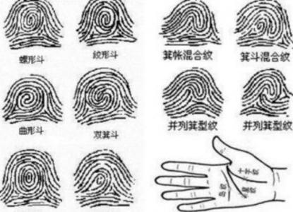 生辰八字指纹测试 指纹算命查询