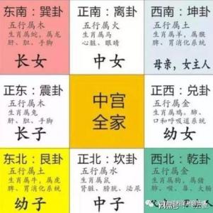 属鼠的人桃花运在那个方向 1996年属鼠女找工作方向是什么意思?
