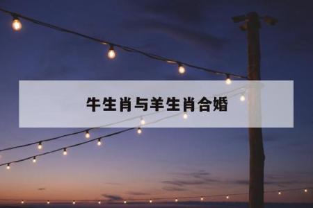 属羊人在属牛年婚姻状况 1967年属羊的招财吉祥物是什么意思?
