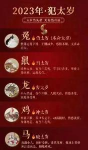 204属兔今年犯太岁吗 属兔2025最强招财物件是什么意思？
