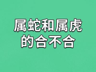 虎年订婚属蛇的好吗 属蛇的人在虎年婚姻怎么样是什么意思?