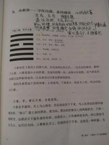 风天小畜卦考试吉凶 畜卦图