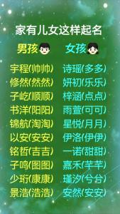 龙宝宝男孩起名大全 王姓龙宝宝100分男孩名