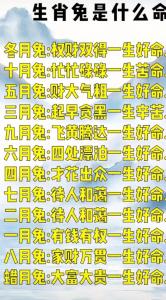 能字是什么生肖 谁能胜天打一生肖是什么意思?