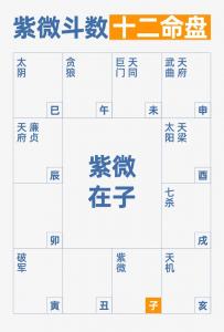 紫薇是算命 紫薇身上记号