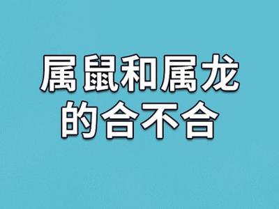 龙属鼠相配吗 属鼠的能放龙摆件吗是什么意思?