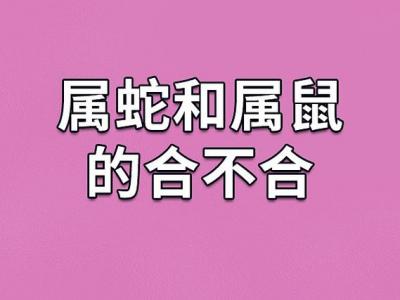 属鼠和属蛇婚姻不配对 新郎属鼠新娘属蛇是什么意思?