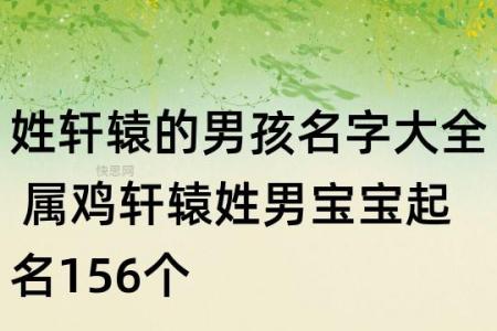 鸡宝宝起名轩辕怎样 鸡宝宝创意名字大全