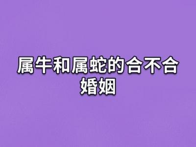 男人属牛和女人属蛇的婚姻 男属牛和女属蛇的婚姻怎么样是什么意思?