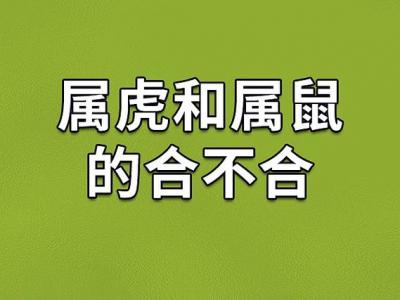 属鼠的跟属虎的婚姻配不配 84年属鼠女36到40岁婚姻是什么意思?