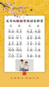 龙年宝宝起名双胞胎 龙年双胎宝宝取名大全