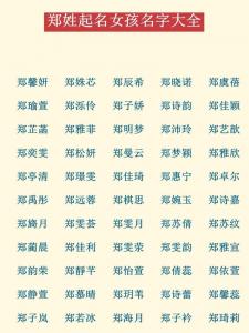 郑姓猪宝宝男孩起名 2024龙男宝取名书