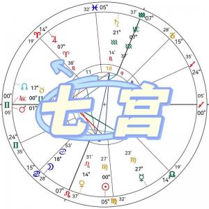 婚姻宫七宫双鱼 夫妻宫主星双鱼