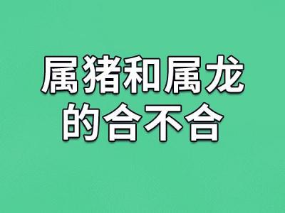 属猪和属龙事业合作 属龙与属猪生意合作是什么意思?