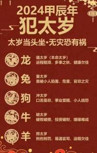属龙有多少个犯太岁年 2025年太岁犯哪些属相是什么意思?