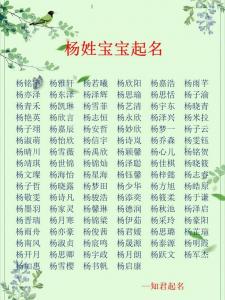 姓名杨宝宝起名字大全 杨诗蕾起名含义