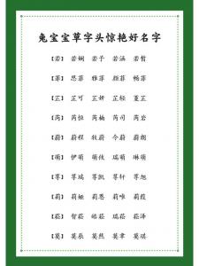 起名兔宝宝姚姓名字女孩 姚字男孩名字兔宝宝