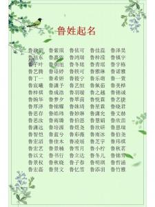鲁氏家族宝宝起名 鲁姓男宝宝名字两个字