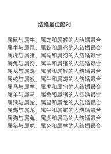 男属羊和女属兔的婚姻 妈妈属兔儿子属羊是什么意思?