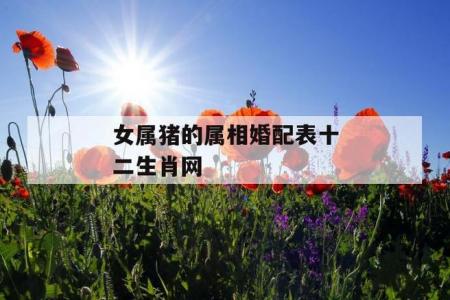 属猪人适合晚婚吗女性婚姻 2002年的女性晚婚年龄是多少是什么意思?