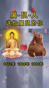 72年属鼠60岁桃花运 72年属鼠24年烂桃花是什么意思？