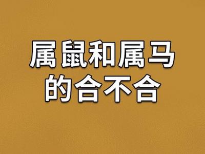 属鼠和属马相冲嘛好吗婚姻 马爸爸和鼠儿子有相冲吗是什么意思?