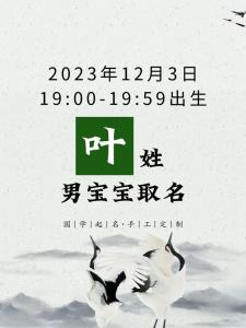 姓叶兔宝宝起名字男孩寓意 2011属兔男孩的学业