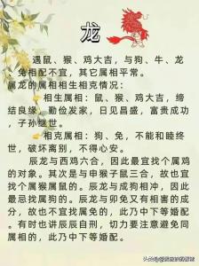 属鼠狗年运势好不好 84年属鼠今日运势是什么意思?