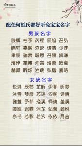 稳姓兔宝宝起名 属兔的姓韩俊博好听吗