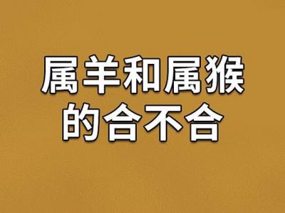 男属侯女属羊婚配好吗 男属羊婚配属啥最好是什么意思?