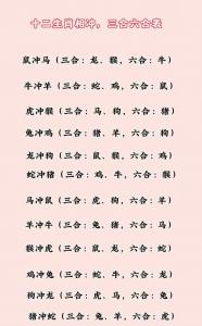 自始至终是什么生肖 自始至终指的生肖是什么意思?